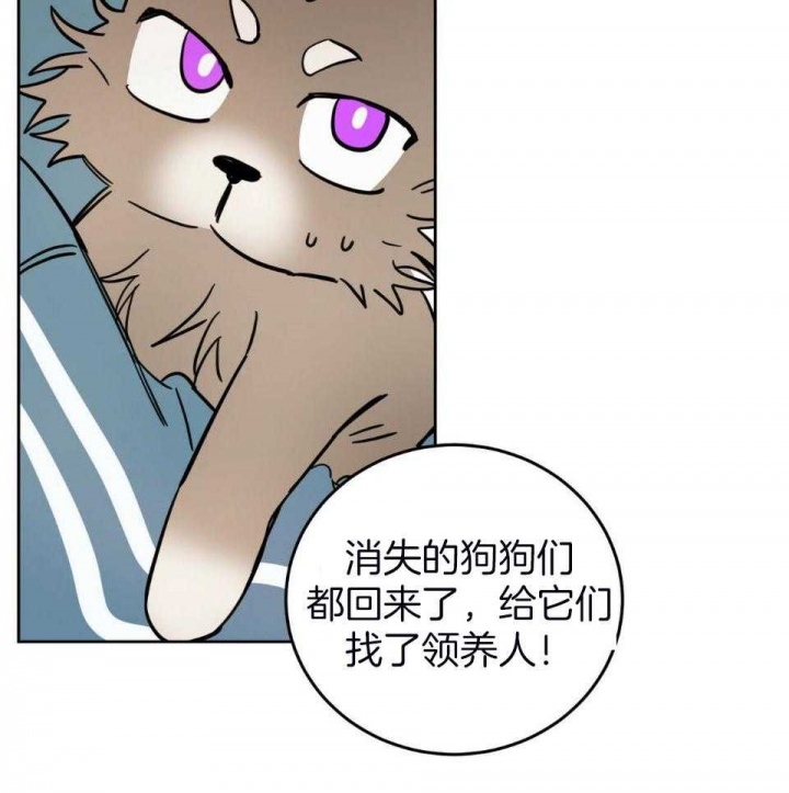 十字路口的恶魔漫画解说漫画,第39话2图