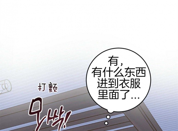 十字路口的交通规则规定漫画,第11话1图