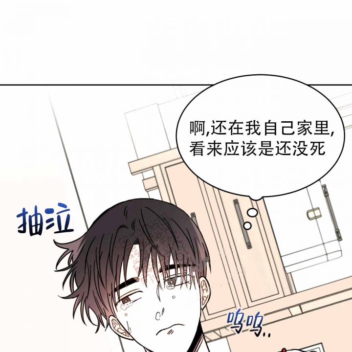 十字路口两车直行相撞责任图解漫画,第5话1图