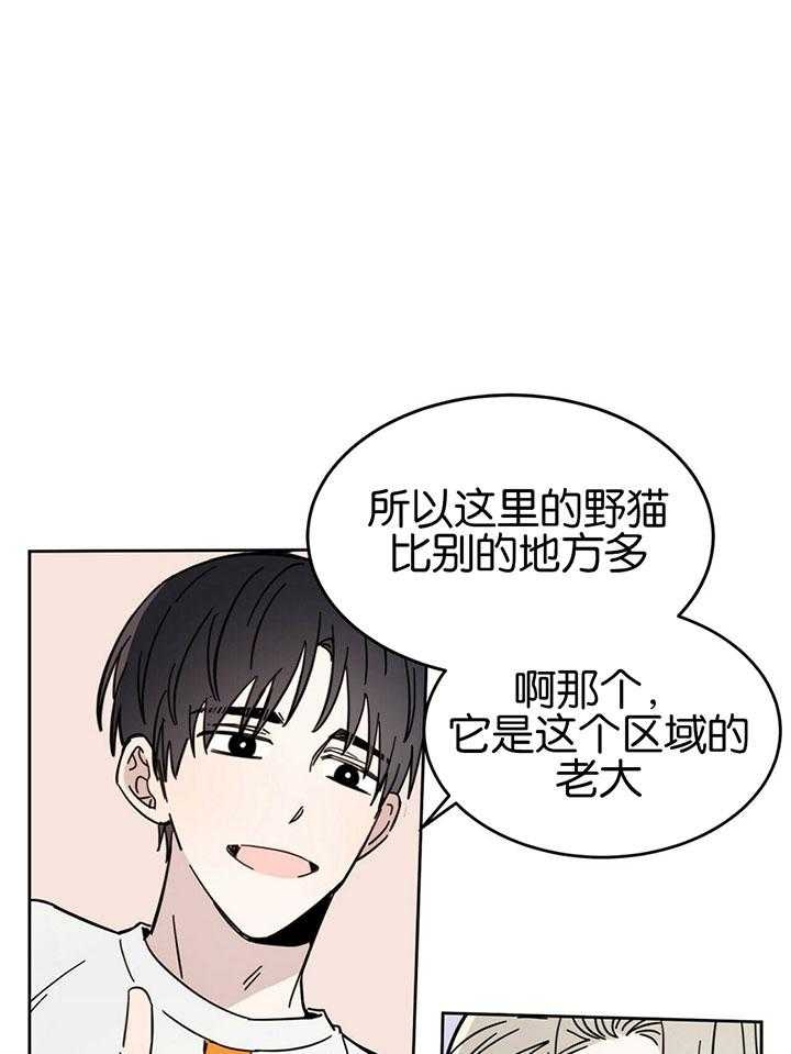 十字路口的恶魔小说予夭漫画,第21话1图