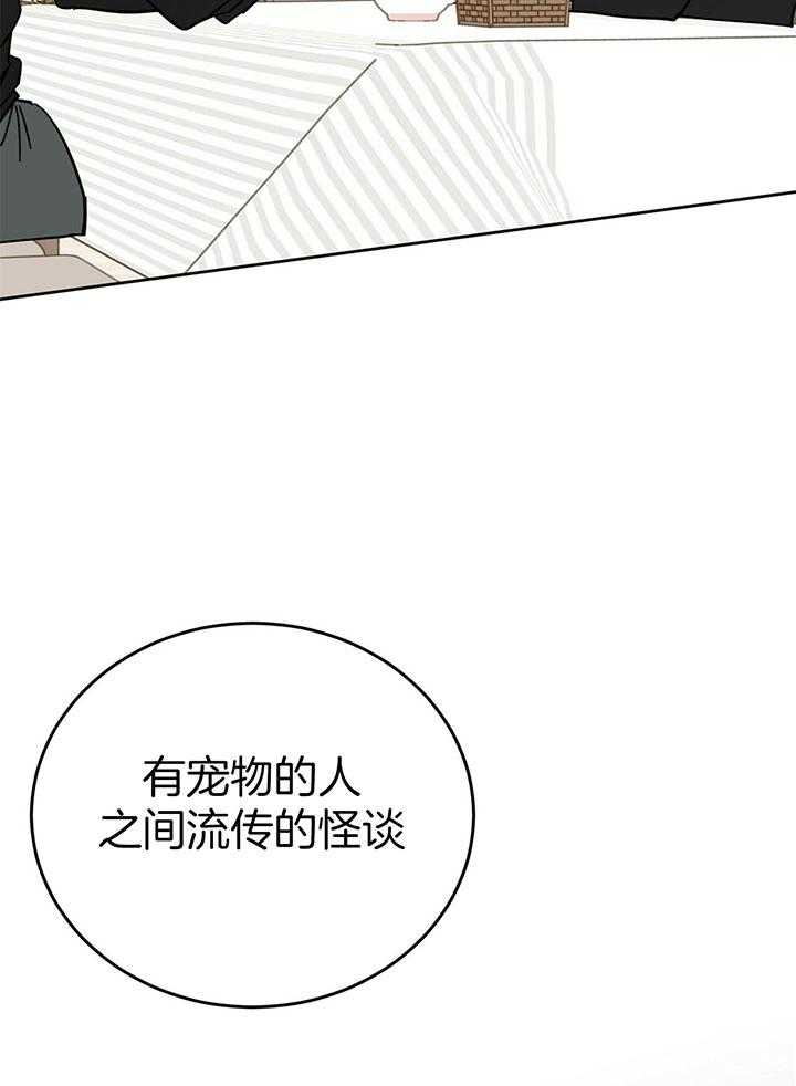 十字路口的恶魔漫画解说漫画,第24话1图