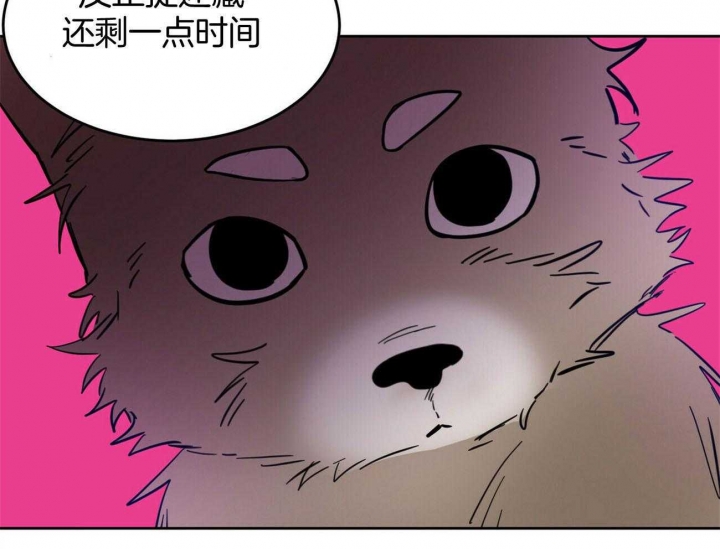 十字路口的恶魔漫画免费观看漫画,第31话1图