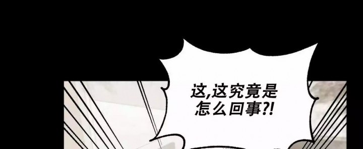 奇怪的动物园规则漫画,第3话2图