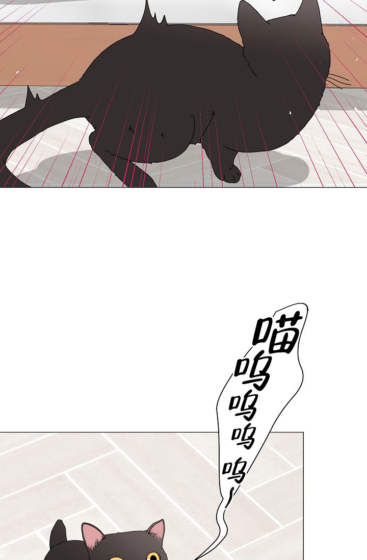 非凡的非凡漫画,第5话1图