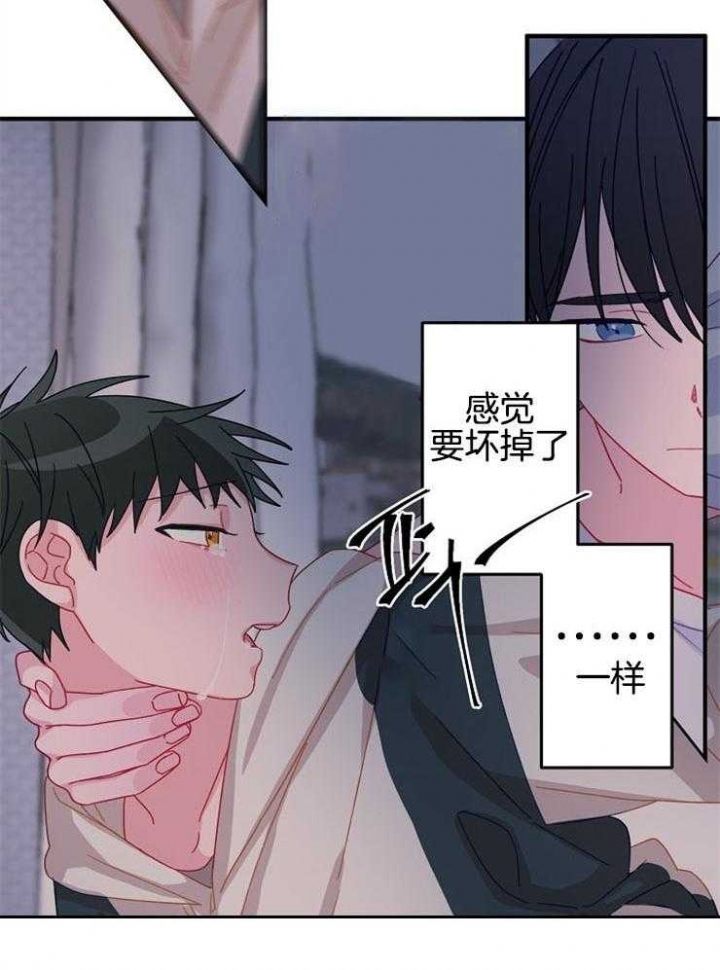 爱情而已做手术第几集漫画,第33话1图