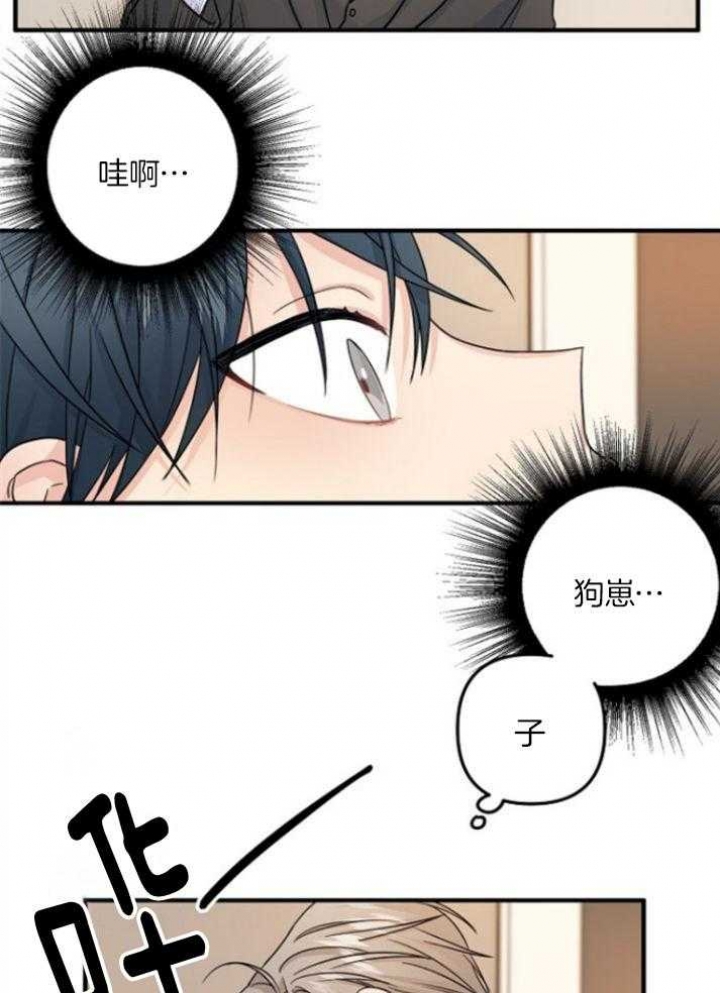 爱情也能做手术吗?无删减漫画,第69话2图