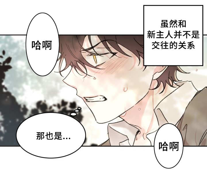 猫的项圈高颜值防丢漫画,第34话1图