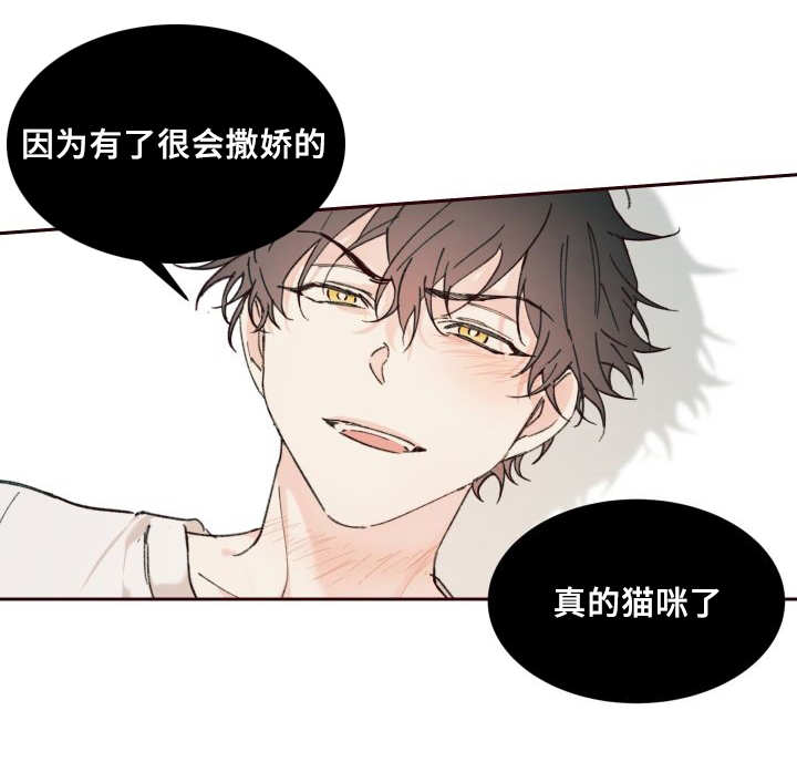 猫的项圈漫画,第34话1图