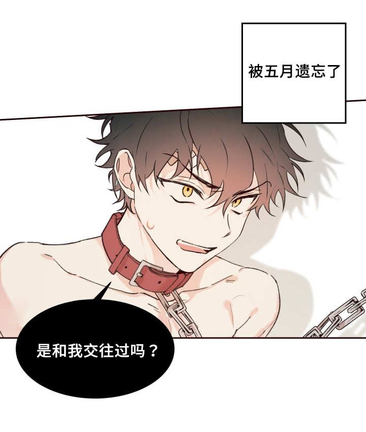 猫的项圈漫画,第34话2图