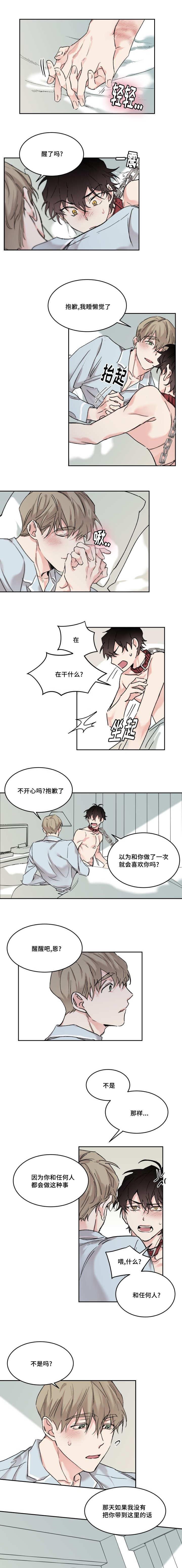 猫的项圈怎么戴合适漫画,第14话1图