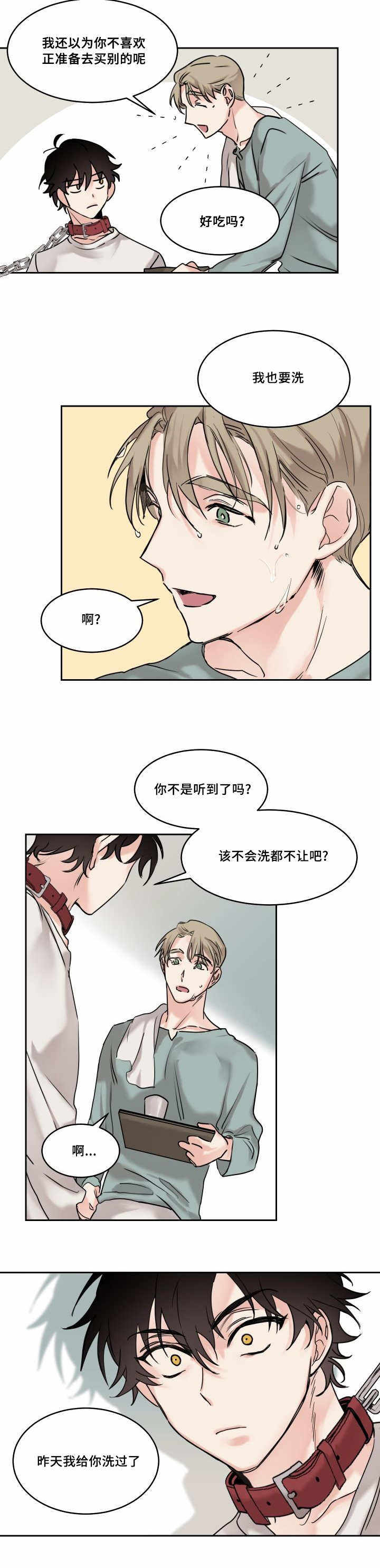 猫的项圈高颜值防丢漫画,第6话1图