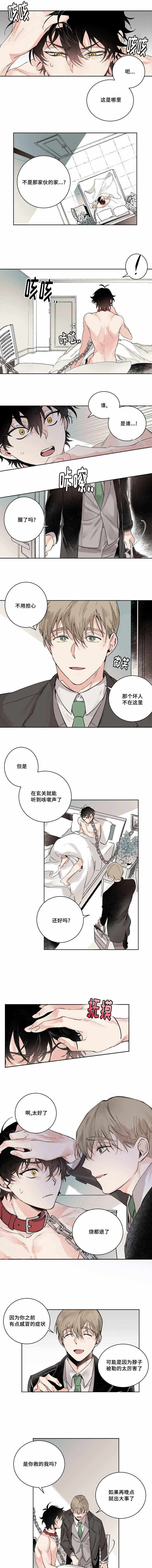 猫的项圈漫画,第2话1图