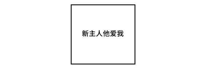猫的项圈漫画,第49话2图