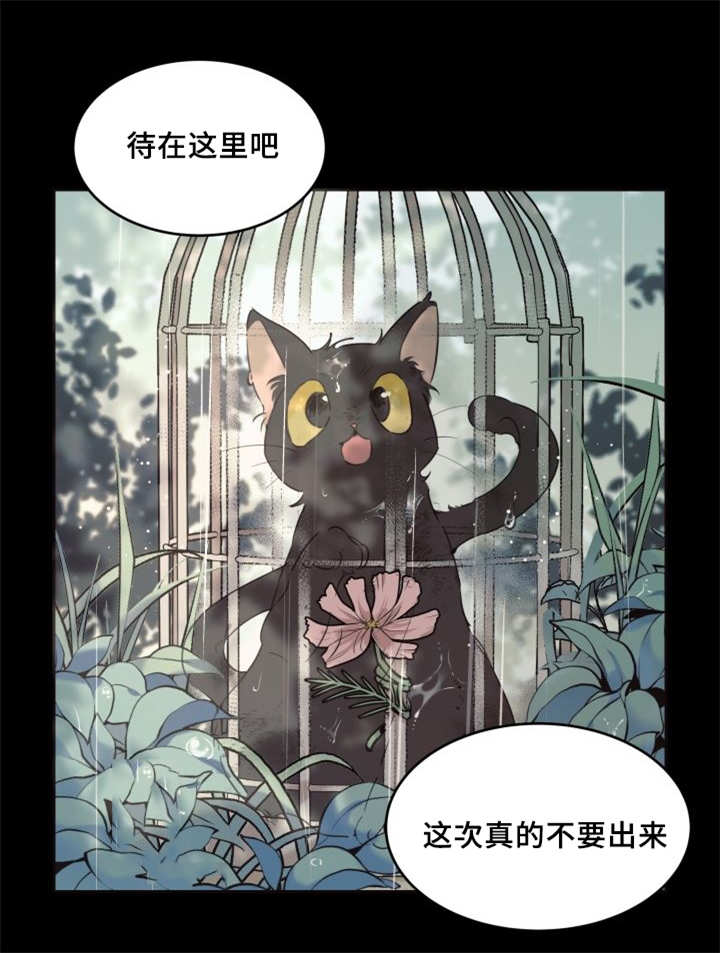 猫的项圈上能不能带铃铛漫画,第27话1图