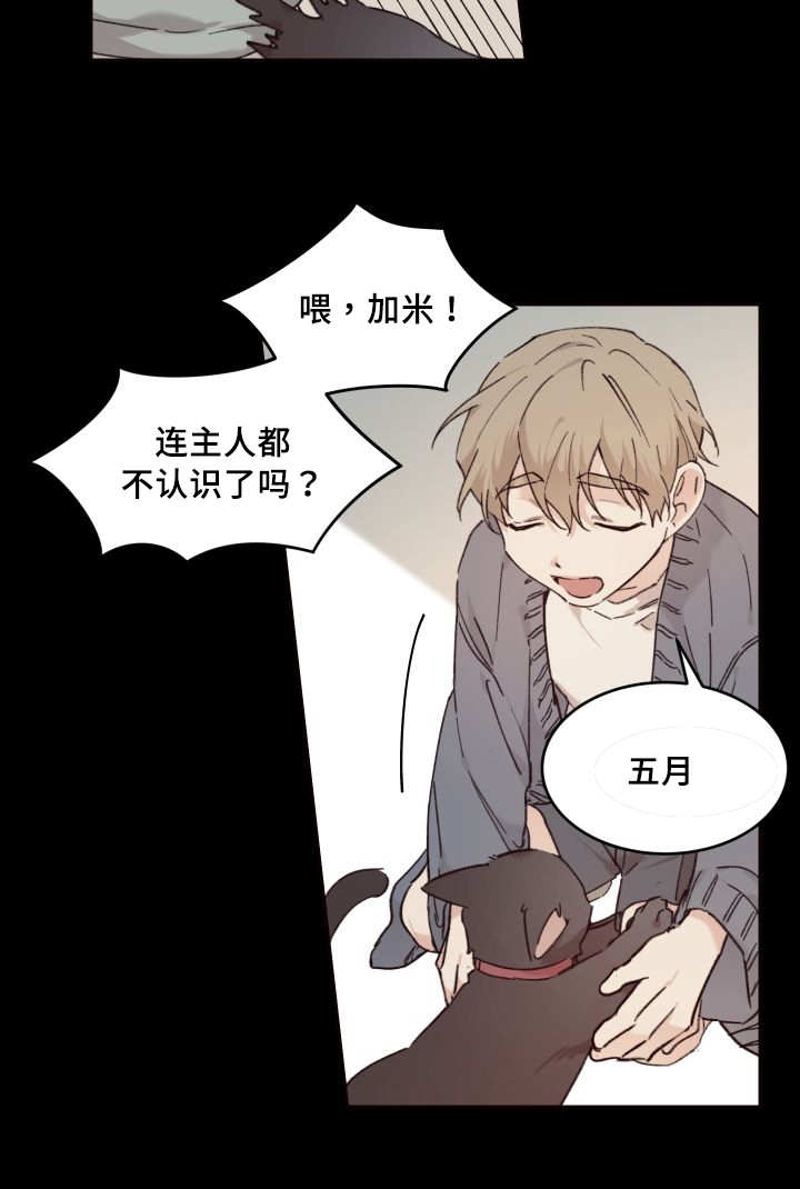 猫的项圈漫画,第34话2图