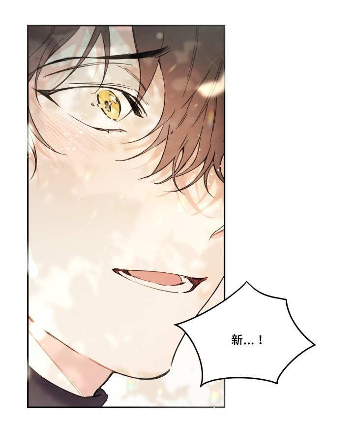 猫的项圈漫画,第50话2图
