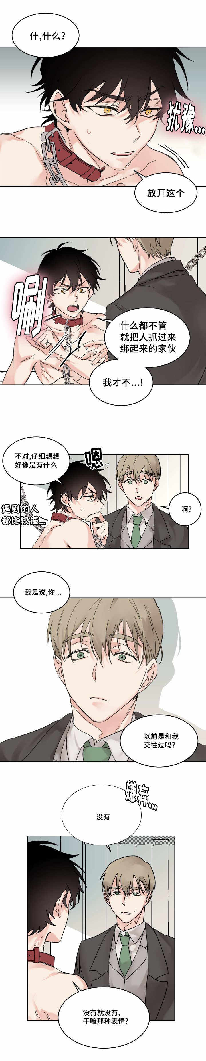 猫的项圈怎么做不用针线漫画,第3话1图