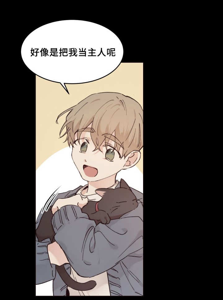 猫的项圈漫画,第34话1图