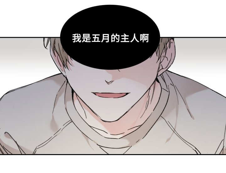 猫的项圈高颜值防丢漫画,第34话2图