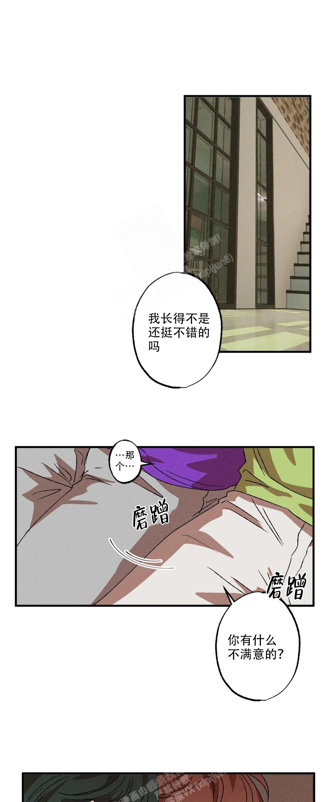 双重陷阱漫画免费未删减漫画,第85话1图