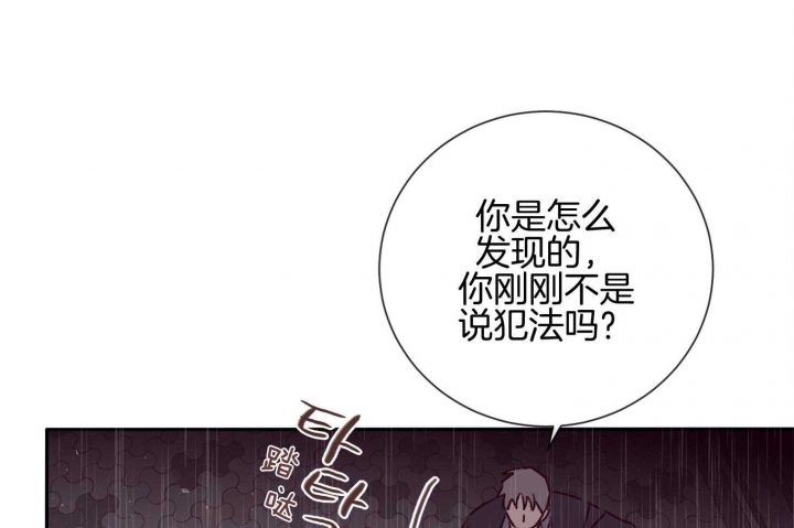 马尔赛是什么意思网络用语漫画,第59话2图