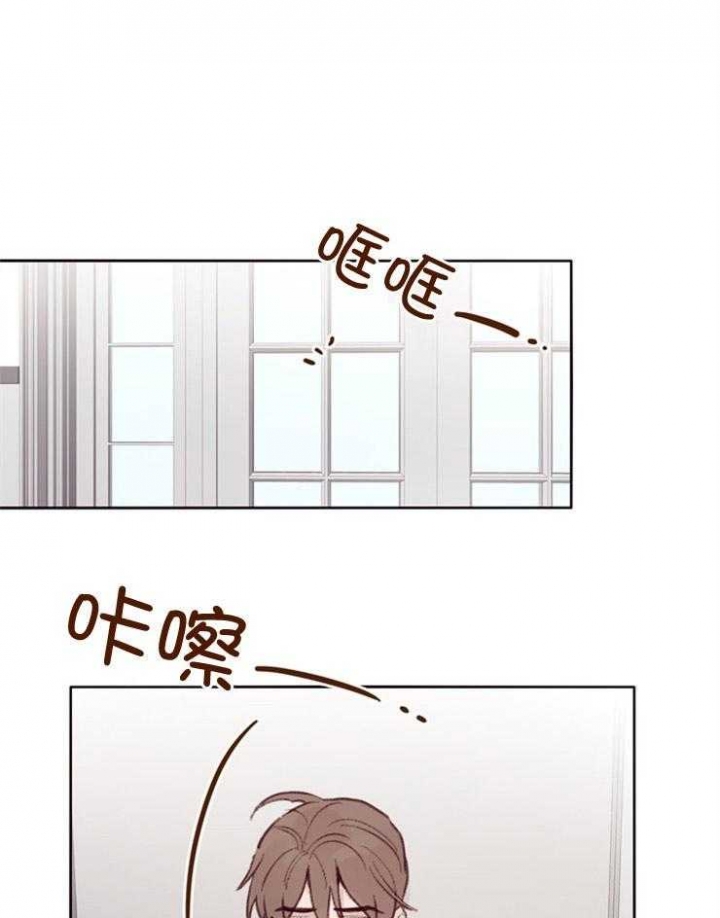 马尔赛皇家狗粮好不好漫画,第13话2图