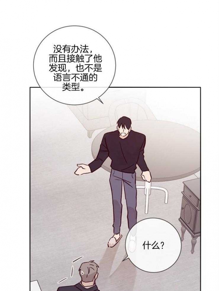 马尔赛皇家狗粮好不好漫画,第31话1图