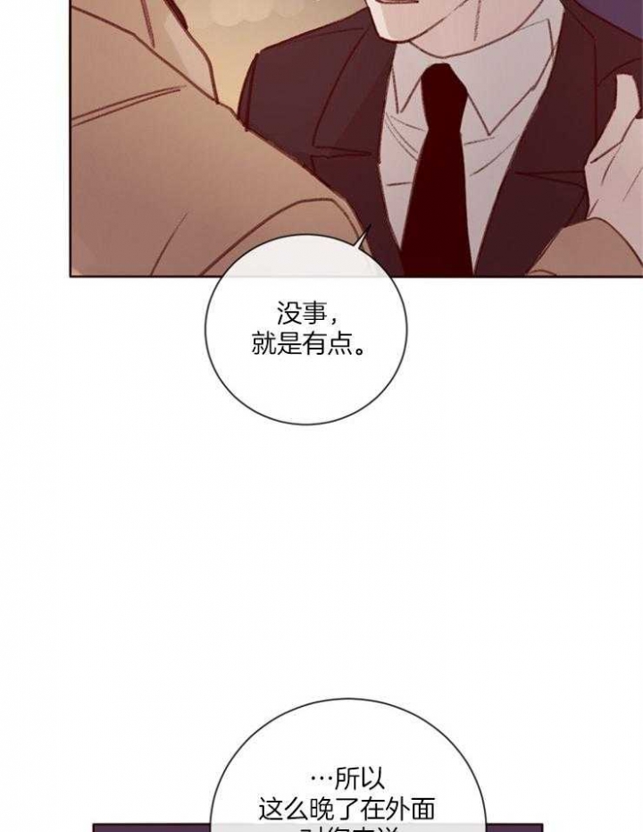 马尔赛皇家狗粮好不好漫画,第21话1图