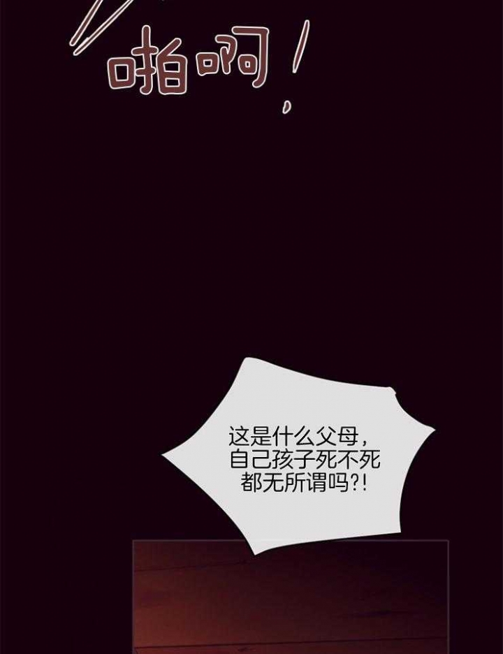 马尔赛皇家狗粮好不好漫画,第27话2图