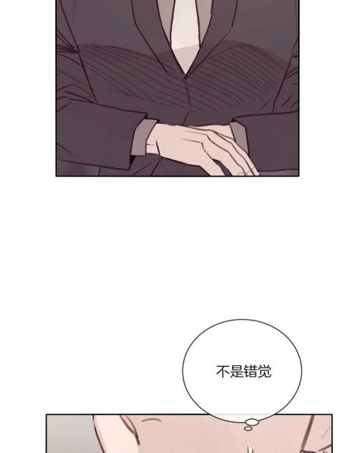 马尔赛皇家狗粮好不好漫画,第18话1图