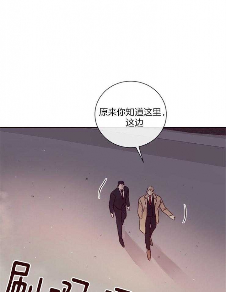 马尔赛皇家狗粮好不好漫画,第21话2图