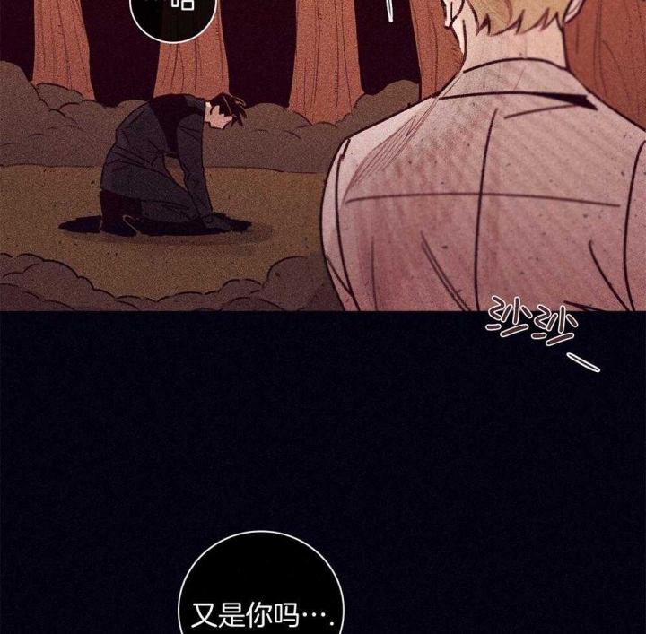 玛尔赛乳胶漆怎么样漫画,第63话2图