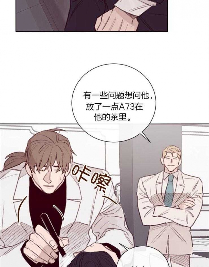 马尔赛皇家狗粮好不好漫画,第13话2图