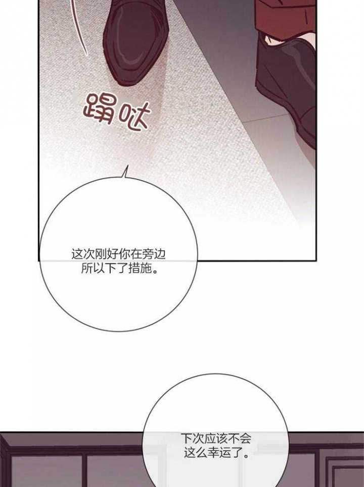 马尔赛皇家狗粮好不好漫画,第49话2图