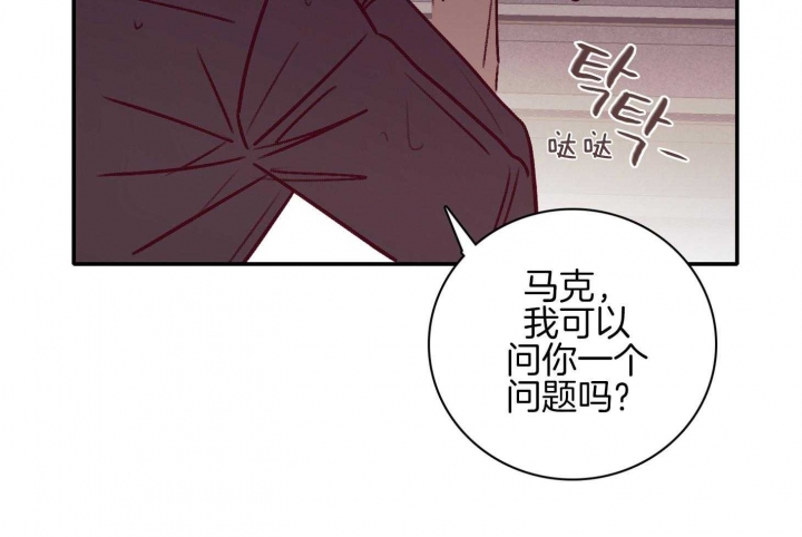 马尔赛皇家狗粮好不好漫画,第61话1图