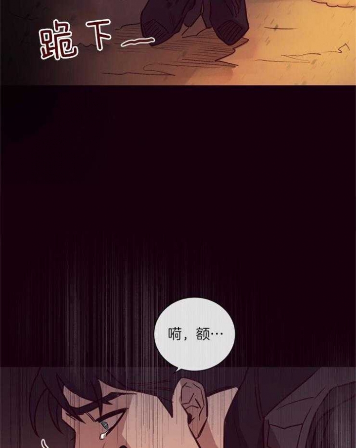 马尔赛皇家狗粮好不好漫画,第24话2图