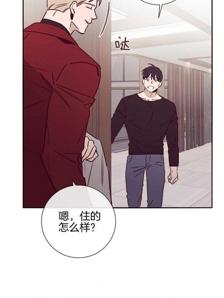 玛尔赛乳胶漆的特点漫画,第56话2图