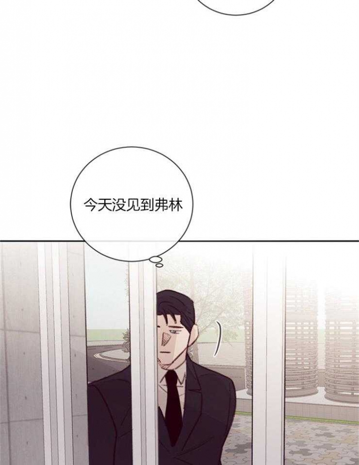 马尔赛皇家狗粮好不好漫画,第19话1图