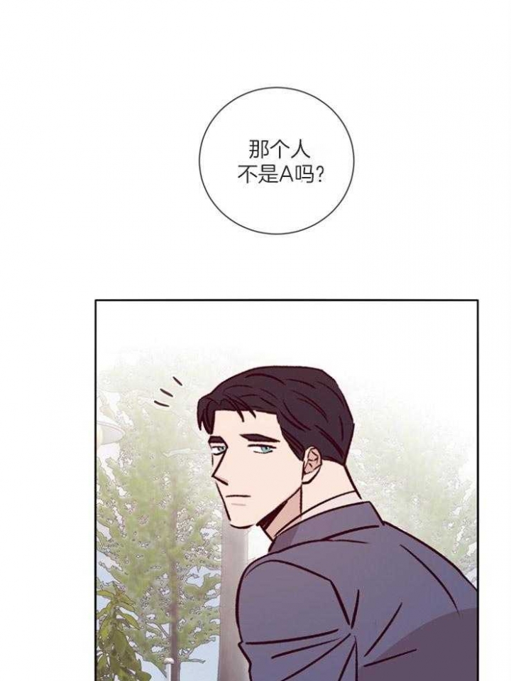 玛尔赛乳胶漆怎么样漫画,第43话1图