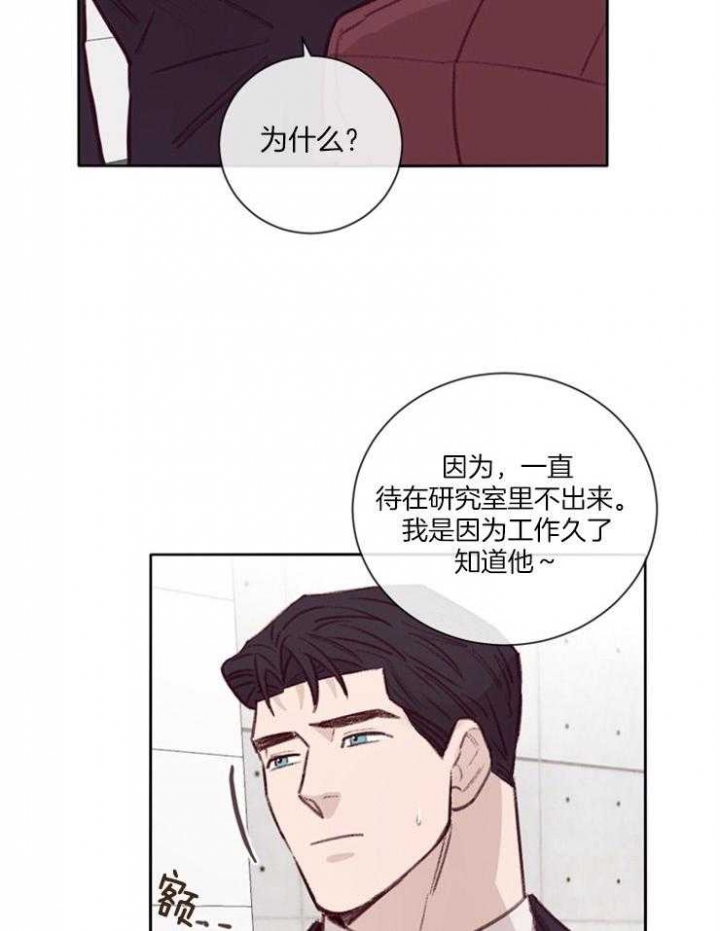 马尔赛皇家狗粮好不好漫画,第19话1图