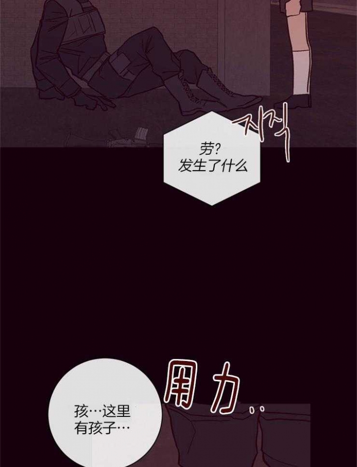 马尔赛皇家狗粮好不好漫画,第23话2图