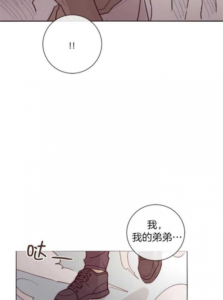 马尔赛皇家狗粮好不好漫画,第15话1图