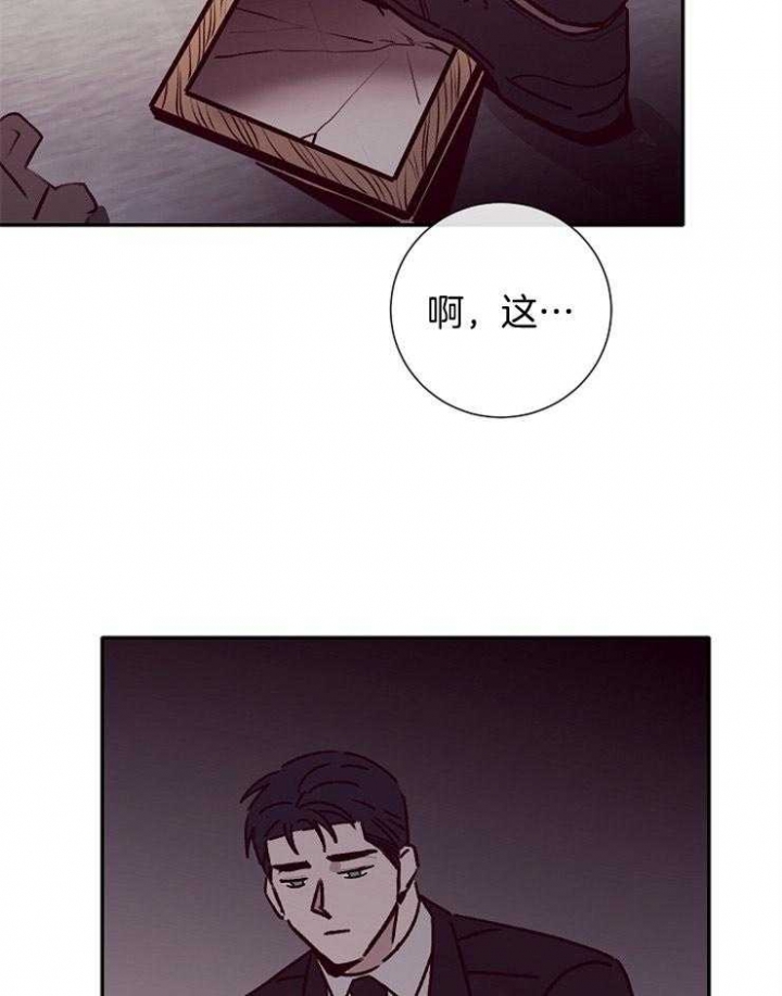 马尔赛皇家狗粮好不好漫画,第54话1图