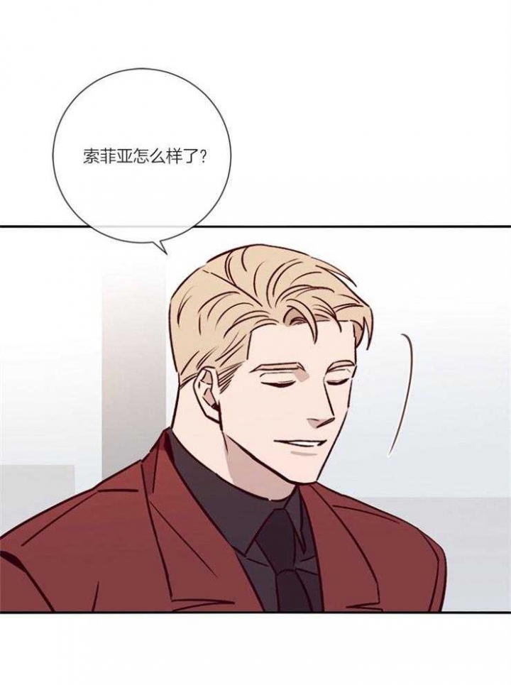 马尔赛皇家狗粮好不好漫画,第49话1图