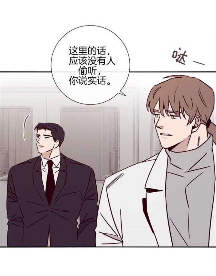 马尔赛皇家狗粮好不好漫画,第47话2图