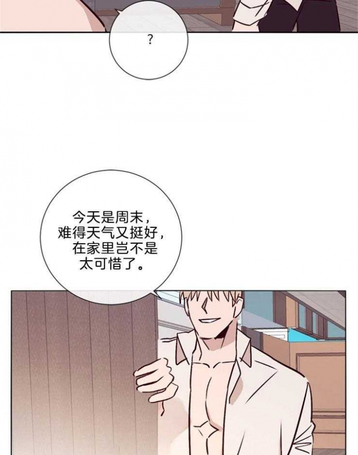 玛尔赛乳胶漆的特点漫画,第41话1图