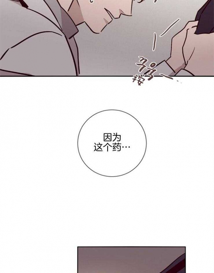 马尔赛皇家狗粮好不好漫画,第47话2图