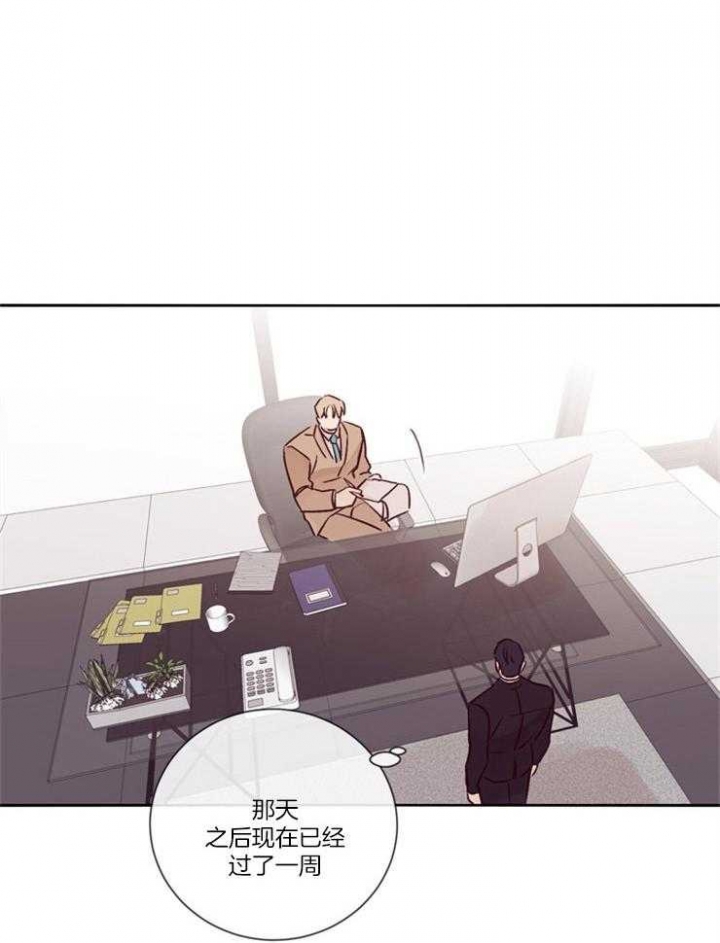 马尔赛皇家狗粮好不好漫画,第33话2图