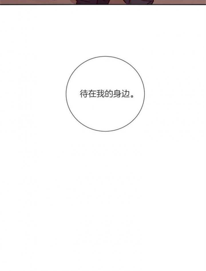 玛尔赛乳胶漆怎么样漫画,第41话1图