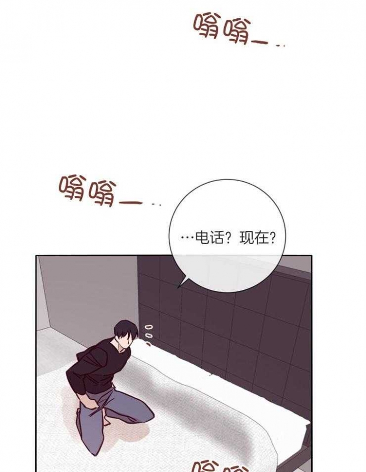 马尔赛夫漫画,第39话1图